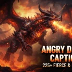 Angry Dragon Captions