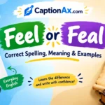 Feel or Feal